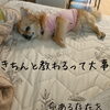 対面で学ぶキチンと学ぶ