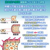 細動脈と毛細血管の決定的な違いとは？平滑筋が握る血圧調整の仕組み【尼崎・高血圧・内科・循環器内科】
