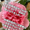 静岡市の結婚相談所マリッジアオキ｜結婚相談所ならではの出会いの魅力とは？理想のお相手探しを一歩前へ進める寄り添いサポート💐✨
