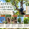 🌳 第3回｜大きくなりすぎた庭木はどうする？倒木リスクと伐採の判断基準