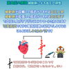 「細動脈はまるで可変抵抗？血管が血圧をコントロールする仕組みと高血圧予防【尼崎・高血圧・内科・循環器内科】」