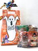 「ハロウィンギフト好評販売中🎃👻＆親しみやすい職場で一緒に働くスタッフを募集しています🧸❄️」
