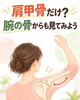 「肩甲骨だけ？腕の骨からも見てみよう」
