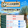 🏝️ヤシの木接骨院の直近の空き枠🏝️