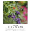 サンシャイン写真展