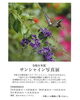 サンシャイン写真展「サンシャイン写真展」