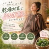 乾燥する季節のケアに。黄土よもぎ蒸しで内側からじんわり温まり、うるおいを育む時間
