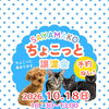 【予約なしOK】SAYAMAKOちょこっと犬猫譲渡会2026.10.18㈰開催 埼玉/所沢・入間・狭山・川越・飯能 　東京/東大和・武蔵村山・東村山・東久留米・小平・立川