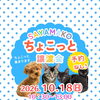 【予約なしOK】SAYAMAKOちょこっと犬猫譲渡会2026.10.18㈰開催 埼玉/所沢・入間・狭山・川越・飯能 　東京/東大和・武蔵村山・東村山・東久留米・小平・立川