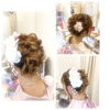 「浴衣着付け＆ヘアセットへのたくさんのご来店ありがとうございました！」