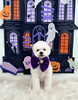 チップくん「Happy Halloween 2026🎃」