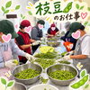 「市場へ届ける枝豆の手仕事！昨年から続くご縁に感謝を込めて、一緒に働く利用者さま・仲間を募集しています」