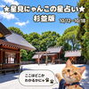 🌟 杉並区版☆12星座占い 🌟まいぷれ☆星見にゃんこ🌟10/12〜10/18