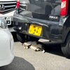 秋のお昼下がり日記☀️🚗駐車場の車陰で、すやすや眠る可愛い猫ちゃんに癒やされました🐾😴💐