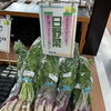 📢 本日は日野菜のご紹介！滋賀の伝統野菜を味わってみませんか？