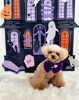 きなこちゃん「Happy Halloween 2026🎃」