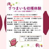 【ぼくらはいも堀り探検隊だ！！】さつまいも堀り体験開催中🍠