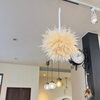 ラルムの店内はお花や植物が沢山です。