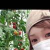 北海道遠別町で、野菜づくりに取り組む有限会社やました商会