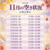 【11月鑑定スケジュール】心を整え、新しい一歩を迎えるための空き状況のご案内