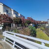 東村山のサロン前で色づくハナミズキと心地よい秋の遊歩道