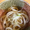 肌寒さを感じる秋に染み渡る一杯！鰹節と煮干しだしが香るコシが自慢の「手打ちかけうどん」と営業日のご案内