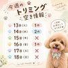 ✂️🐶今週のトリミング空き情報🐶✂️