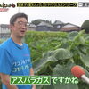 ☆カラフル野菜の小山農園『月曜から夜ふかし』無事にオンエア📺☆