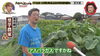 スタッフさんも優しく楽しい収録となりました🎥「☆カラフル野菜の小山農園『月曜から夜ふかし』無事にオンエア📺☆」