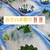 秋祭りは終わりましたが次はカワハギ祭りです‼️‼️