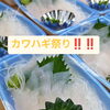 秋祭りは終わりましたが次はカワハギ祭りです‼️‼️