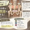【宇都宮錦 整体院】腰痛は揉まないのが今の常識！①
腰痛の治療は「仙腸関節」を調整する！