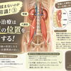 【宇都宮錦 整体院】腰痛は揉まないのが今の常識！③
腰痛の治療は「腎臓の位置」にも注目する！