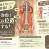 【宇都宮錦 整体院】腰痛は揉まないのが今の常識！③
腰痛の治療は「腎臓の位置」にも注目する！