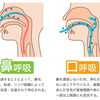 唇の乾燥…口呼吸が原因かも？