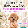 「かわいい」だけじゃない。 触れた瞬間まで、こだわる。