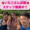 いちごさんぽ園 スタッフ募集中！