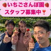 いちごさんぽ園 スタッフ募集中！