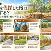 🌳 第5回｜庭木を伐採した後はどうする？抜根・切り株処理・庭の再生方法