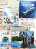 「水族館に行ってみませんか。」