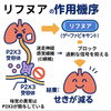 長引くせきの仕組みと治療薬の働き｜過剰な信号を抑えるアプローチをやさしく解説