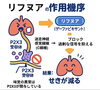 「長引くせきの仕組みと治療薬の働き｜過剰な信号を抑えるアプローチをやさしく解説」