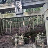 朝の静かな散歩道で見つけた、心をととのえる時間