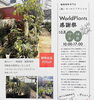 「10月17日・18日開催！秋のワールドプランツ感謝祭＆観葉植物大売出し🪴」