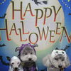 トイプードルのホイップ君＆スキップ君＆あすか君♪ハロウィン仕様ですっきり愛らしい姿に