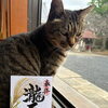 【船橋・御瀧不動尊】稲穂を描いた11月限定御朱印のご案内