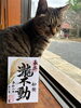 稲穂を描いた令和8年11月の御朱印「【船橋・御瀧不動尊】稲穂を描いた11月限定御朱印のご案内」