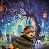 ハロウィンフォトコンテスト🎃byましゅまろ幼稚園🐾