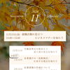 【登録なしで参加OK】 11月13日(金) ふなサポ オープンプログラムのご案内📢