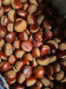 「栗が届きました🌰」